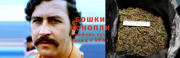 спиды Краснослободск
