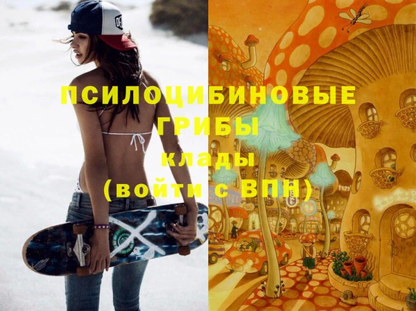 спиды Краснослободск