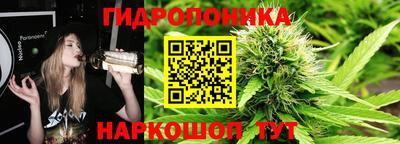 ешки Обнинск