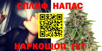 ешки Обнинск