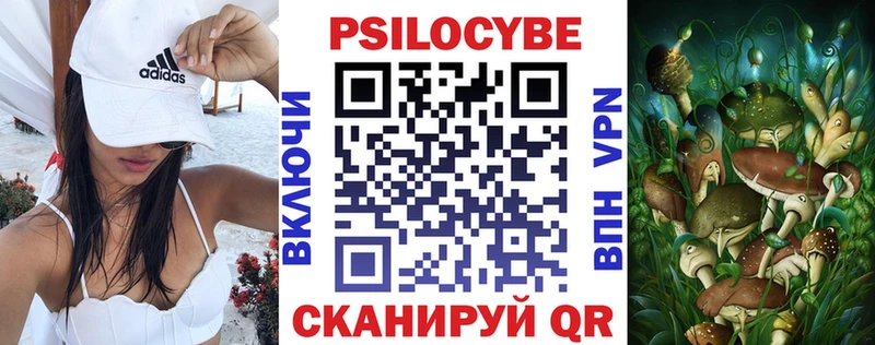 цены   Сорочинск  Псилоцибиновые грибы MAGIC MUSHROOMS 