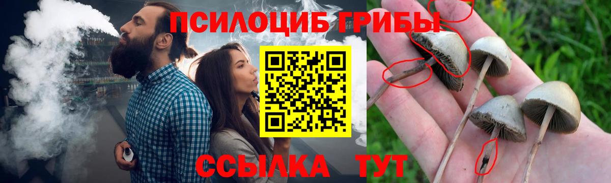 Галлюциногенные грибы мицелий  Вход с VPN  Сорочинск  Псилоцибиновые грибы мухоморы 